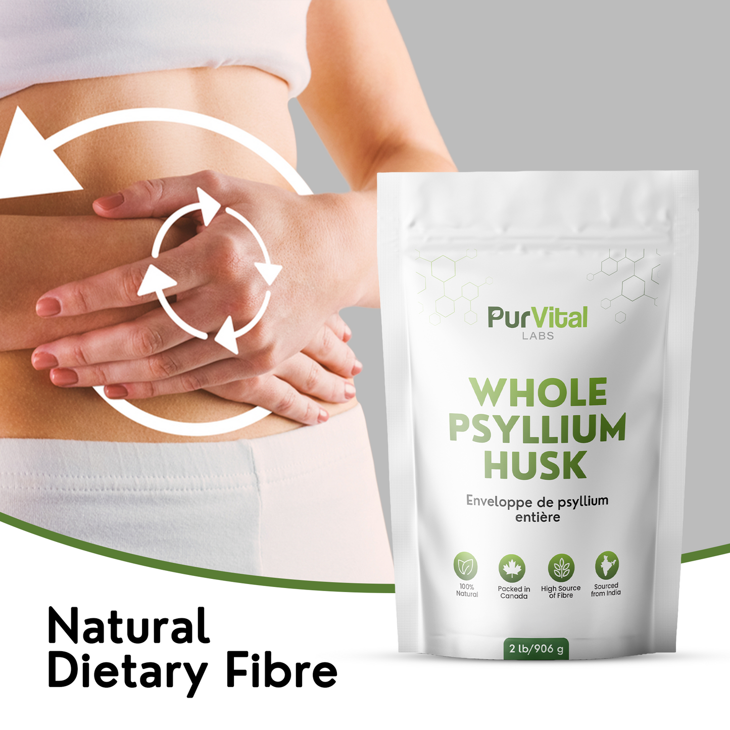 Psyllium Whole Husk Powder