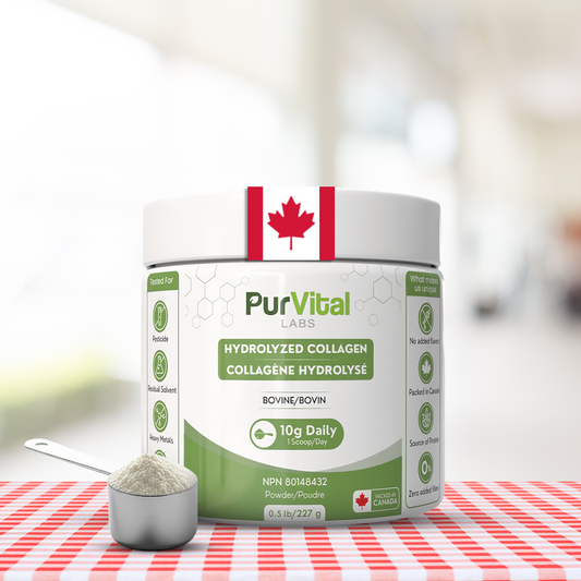 Hydrolyzed Bovine Collagen Powder