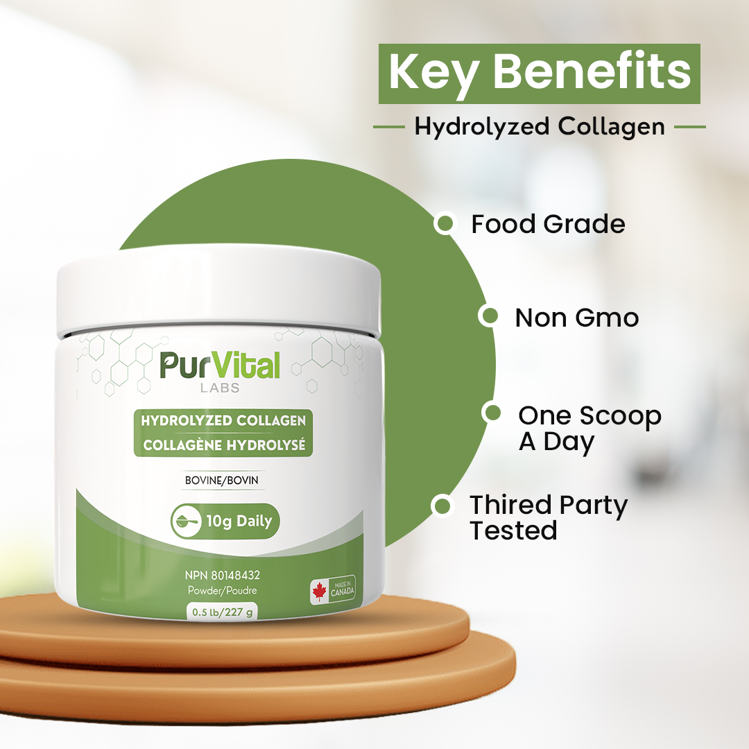 Hydrolyzed Bovine Collagen Powder