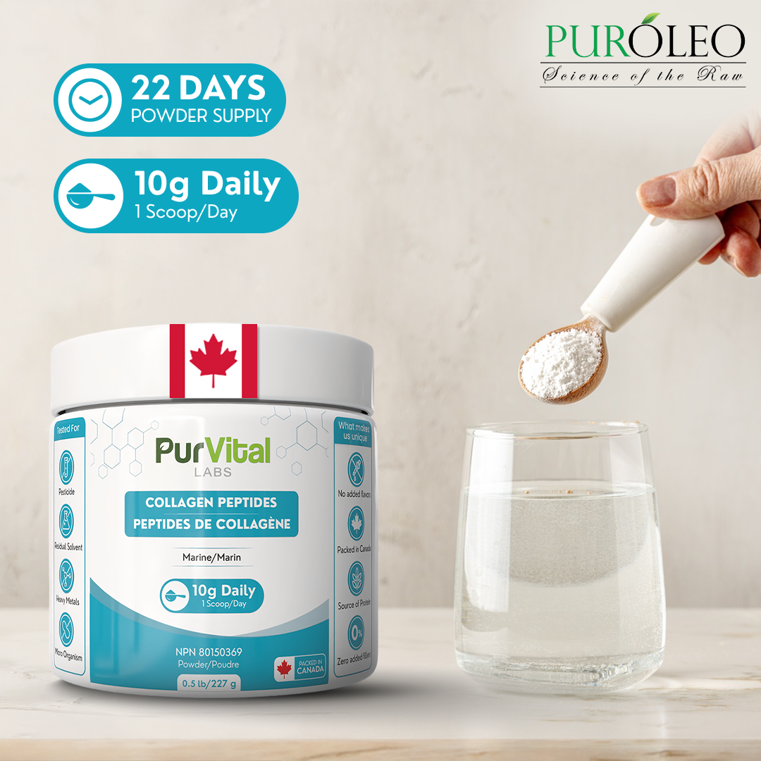 Collagen Peptides (Powder)