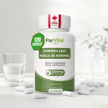 Moringa Leaf Powder Capsule 1200mg Per Serving
