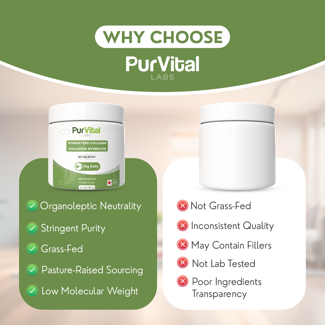 Hydrolyzed Bovine Collagen Powder