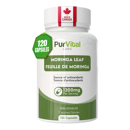 Moringa Leaf Powder Capsule 1200mg Per Serving